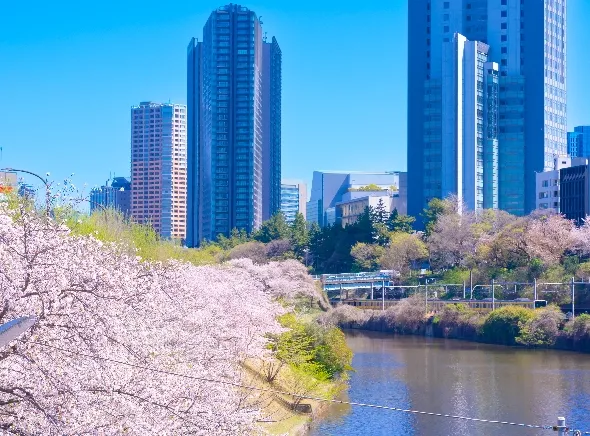 スライダー画像